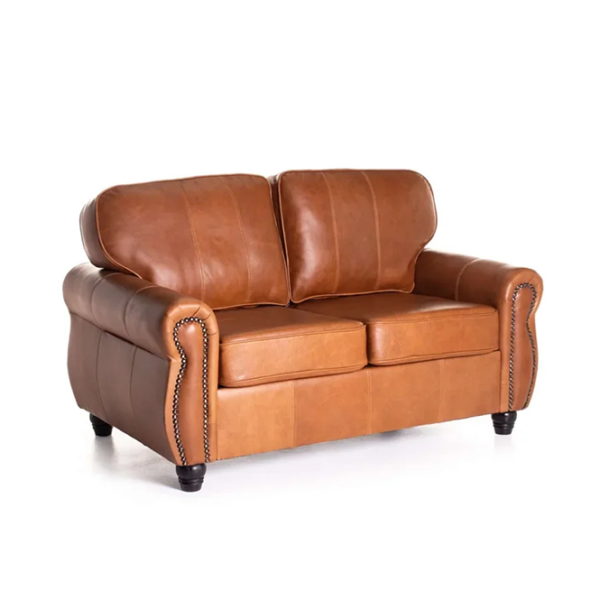 Kingsley Genuine Leather 2-Seater Couch